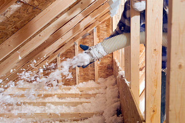 Best Eco-Friendly or Green Insulation Solutions  in Buffalo, SC