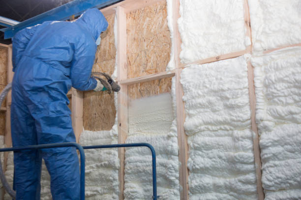 Best Blown-In Insulation  in Buffalo, SC